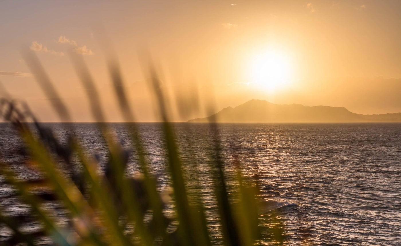 Hawaii Vacation Guide